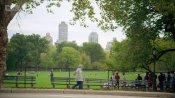 America-the-beautiful-central-park-03