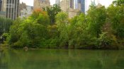 America-the-beautiful-central-park-05