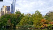 America-the-beautiful-central-park-09